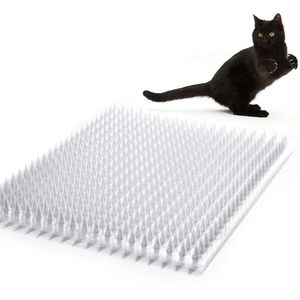 Katten mat